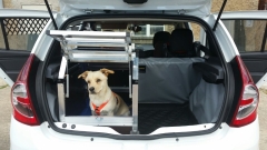 Hundetransportbox Dacia Sandero