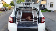 Hundebox für Dacia Sandero