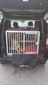 Hundebox für Fiat Qubo 