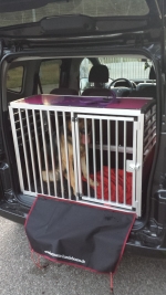 Hundetransportbox für Fiat