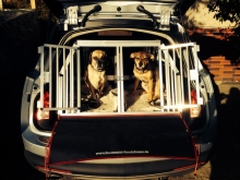 Hundetransportbox für Opel Insignia