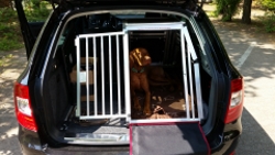 Hundetransportbox für Skoda Superb