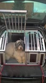 Skoda Fabia 3 Hundebox für Auto