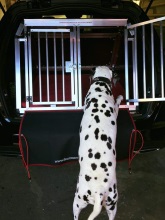Transportbox für Hunde Mercedes