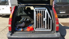 Hundebox, Transportbox für Volvo 850