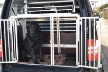 Hundetransportbox VW Caddy Maxi