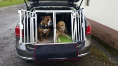 Hundetransportbox VW Passat Variant
