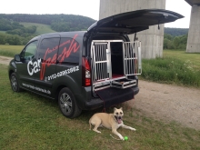 Hundetransportbox für Citroen
