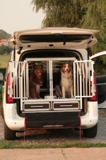 Hundebox für Citroen Berlingo 2014