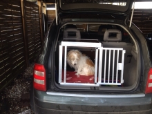Hundetransportbox Audi A2