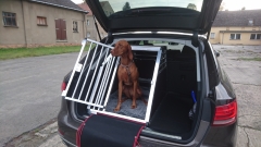 Hunde-Transportbox Audi A6 Avant 2016